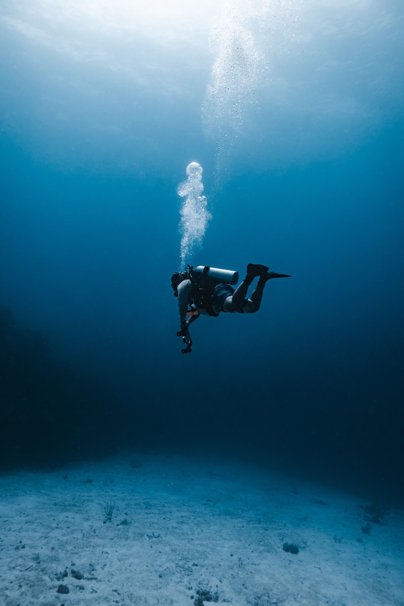 Photo by Tom Nagel A scuba diver explores the deep blue sea.