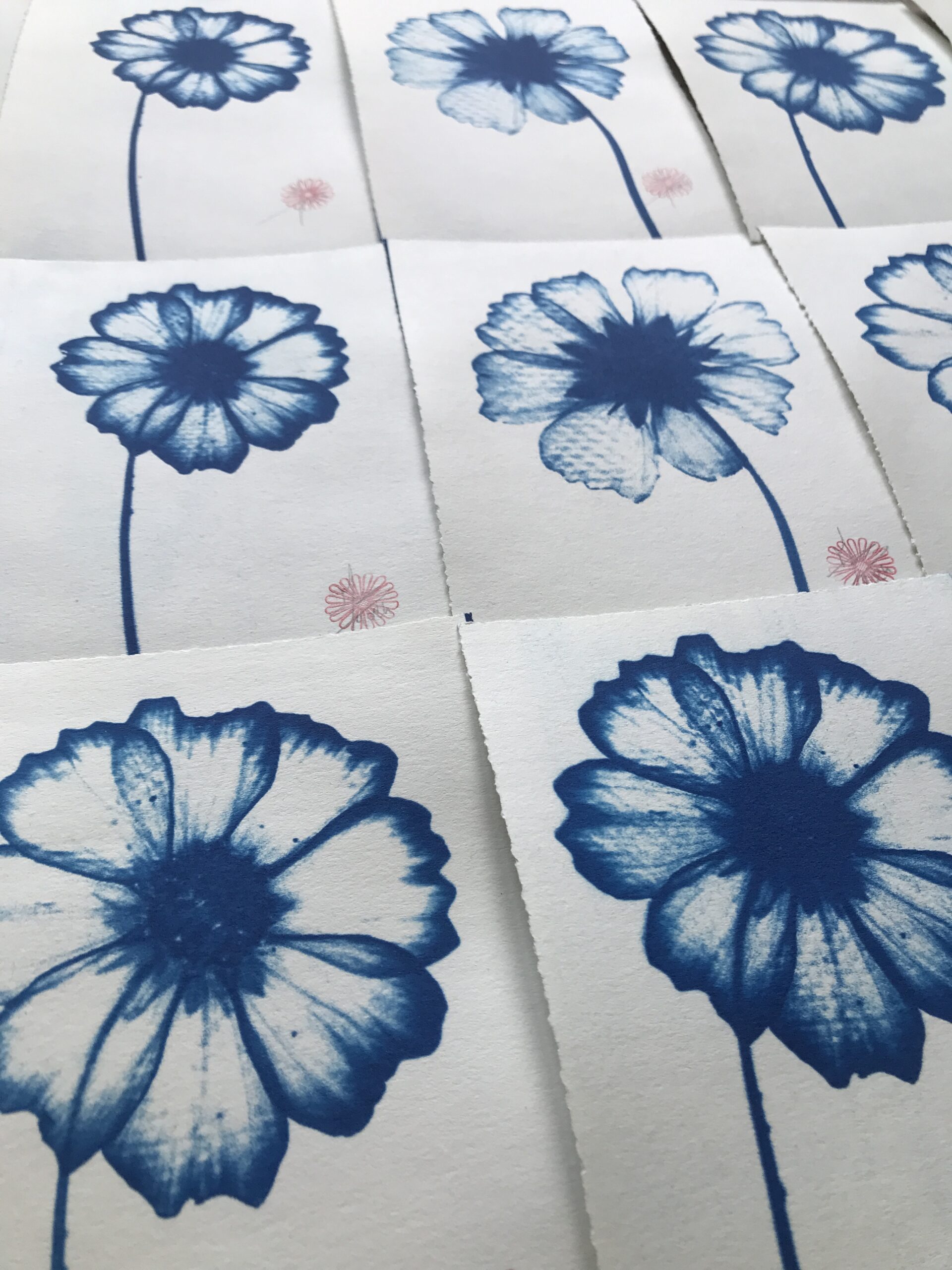 Cyanotype
