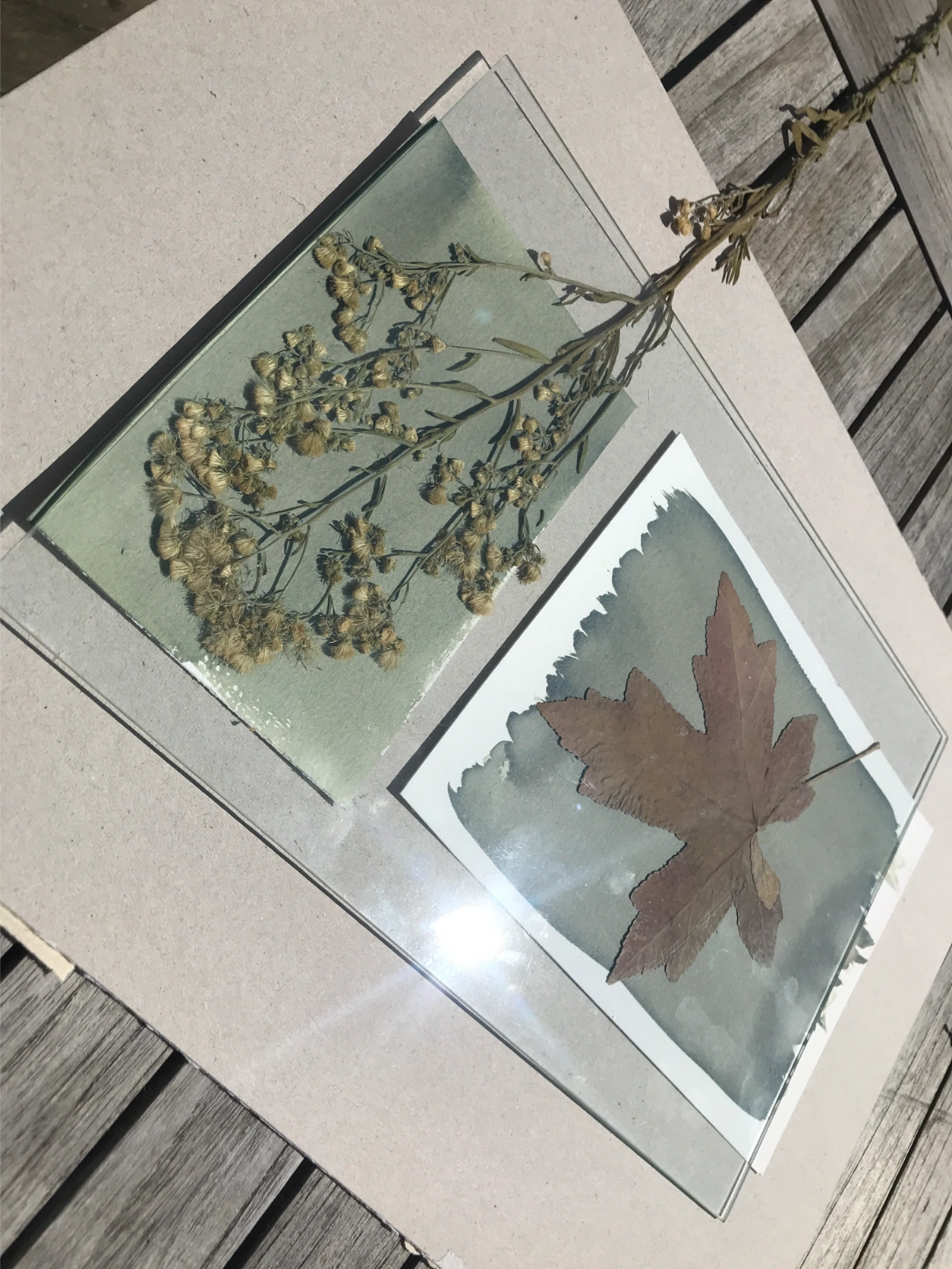 Ateliers-artistiques-dans-une-association-bretagne-gravure-Cyanotype 2