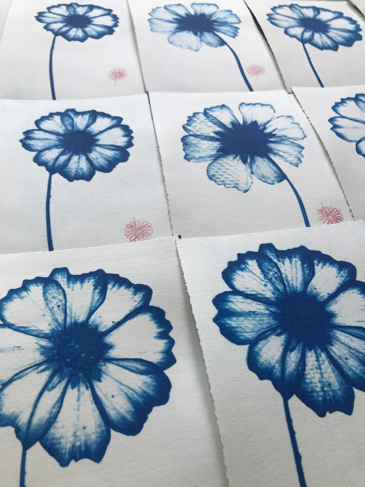 Atelier-gravure-Cyanotype-bretagne