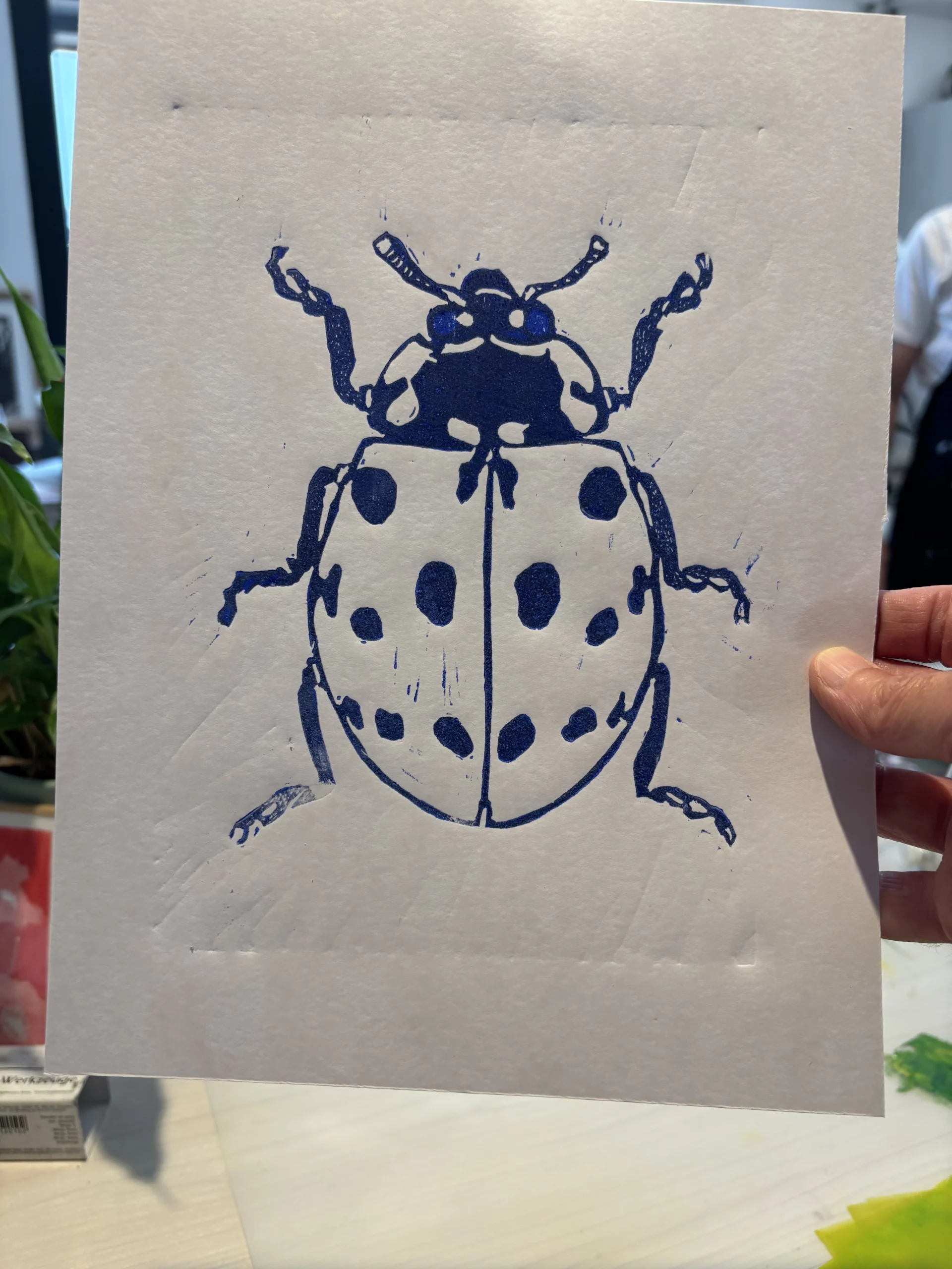 La coccinnelle imprimée en bleu